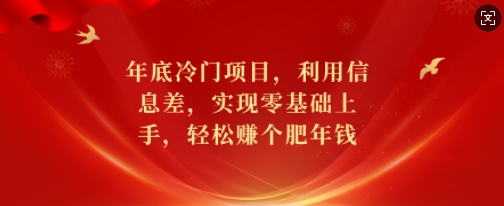 年底冷门项目，利用信息差，实现零基础上手，轻松赚个肥年钱【揭秘】-副业网创