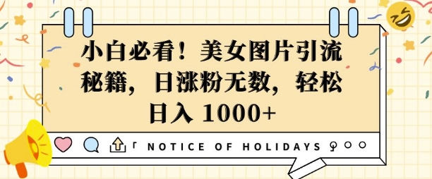 小白必看，美女图片引流秘籍，日涨粉无数，轻松日入几张【揭秘】-副业网创