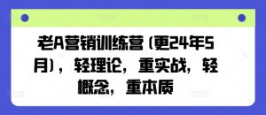 老A营销训练营(更24年12月),轻理论,重实战,轻概念,重本质-副业网创