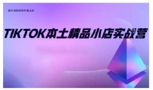 TikTok本土精品小店出海实战营,从入门到高阶,不止0-1!-副业网创