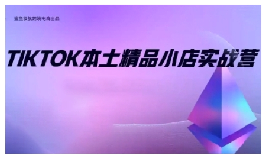 TikTok本土精品小店出海实战营,从入门到高阶,不止0-1!-副业网创