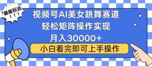 视频号蓝海赛道玩法，当天起号，拉爆流量收益，小白也能轻松月入30000+-副业网创