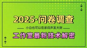 2025问卷调查最新工作室技术解密:一个人在家也可以闷声发大财,小白一天2张,可矩阵放大【揭秘】-副业网创