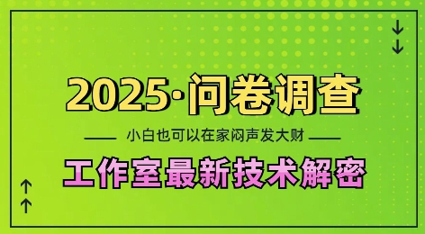 2025问卷调查最新工作室技术解密：一个人在家也可以闷声发大财，小白一天2张，可矩阵放大【揭秘】-副业网创
