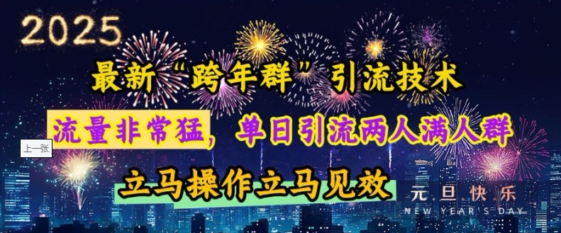 最新“跨年群”引流，流量非常猛，单日引流两人满人群，立马操作立马见效【揭秘】-副业网创