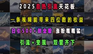 2025自热引流天花板，一条视频能带来四位数的收益，引流+变现双管齐下，日引500+创业粉，涨粉嘎嘎猛-副业网创