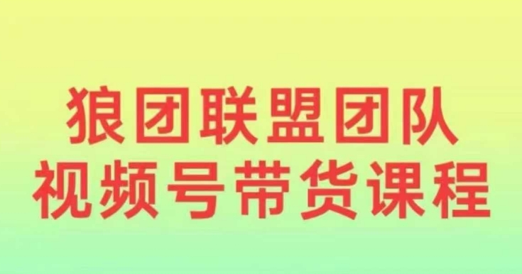 狼团联盟2024视频号带货，0基础小白快速入局视频号-副业网创