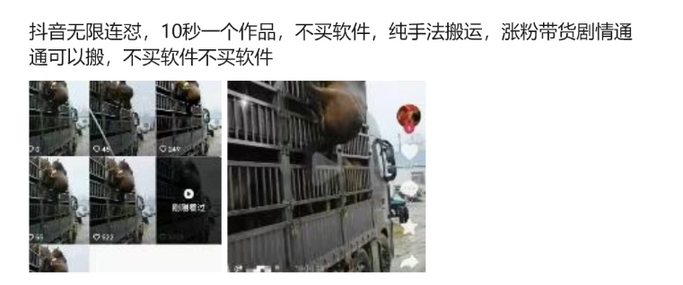 抖音无限连怼，10秒一个作品不买软件，纯手法搬运，涨粉带货剧情通通可以搬-副业网创