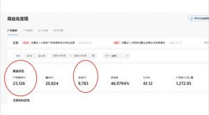 抖音雪花无人直播,一天躺赚3000+,0粉手机可搭建,不违规不限流,小白...-副业网创