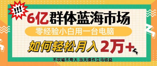 6亿群体蓝海市场，零经验小白用一台电脑，如何轻松月入过w【揭秘】-副业网创