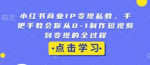 小红书商业IP变现私教,手把手教会你从0-1制作短视频到变现的全过程-副业网创