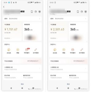 2025视频号蓝海超级暴利自动爆单术1.0 ,小白褔音 简单剪辑 不直播 不挂车-副业网创