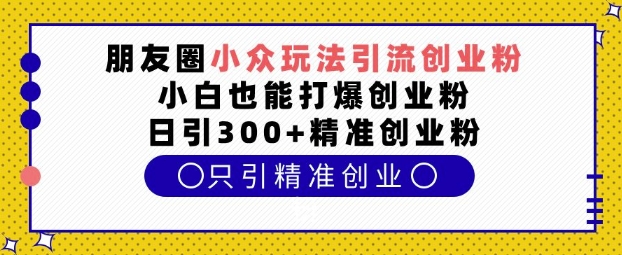 朋友圈小众玩法引流创业粉，小白也能打爆创业粉，日引300+精准创业粉【揭秘】-副业网创