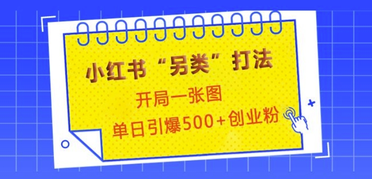 小红书“另类”打法，开局一张图，单日引爆500+精准创业粉【揭秘】-副业网创