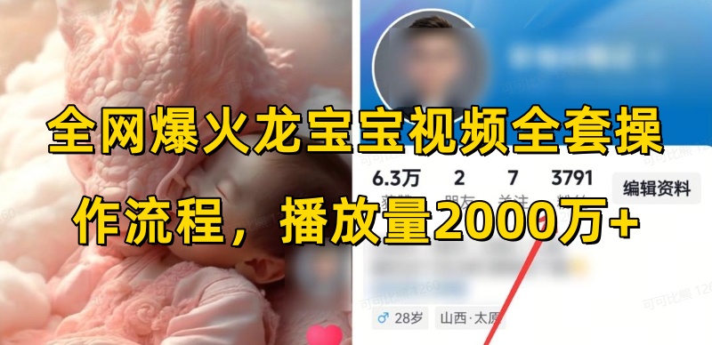 全网爆火龙宝宝视频全套操作流程，播放量2000万+-副业网创
