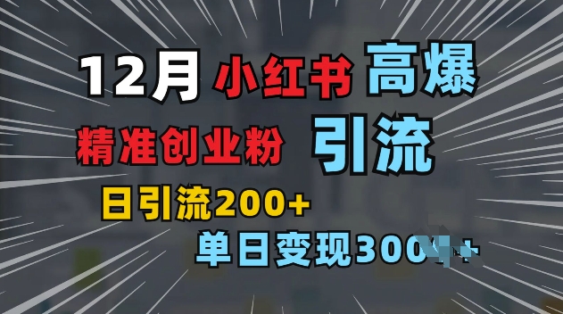 小红书一张图片“引爆”创业粉，单日+200+精准创业粉 可筛选付费意识创业粉【揭秘】-副业网创