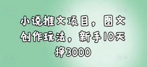 小说推文项目，图文创作玩法，新手10天挣3000-副业网创