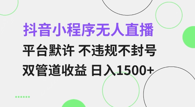 抖音小程序无人直播 平台默许 不违规不封号 双管道收益 日入多张 小白也能轻松操作【仅揭秘】-副业网创