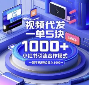 视频代发,一单5块,小红书引流合作模式,一部手机轻松日入多张【揭秘】-副业网创