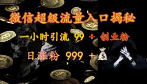 微信超级流量入口揭秘:一小时引流 99 + 创业粉,日涨粉 999 +-副业网创