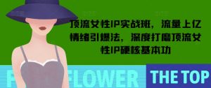 顶流女性IP实战班，流量上亿情绪引爆法，深度打磨顶流女性IP硬核基本功-副业网创