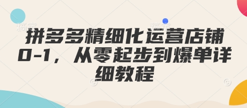 拼多多精细化运营店铺0-1，从零起步到爆单详细教程-副业网创