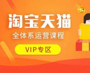 淘宝天猫全体系运营课程:店铺全系运营、动销玩法、付费推广、流量提升、擦边球玩法等等-副业网创