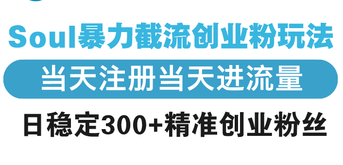 Soul暴力截流创业粉玩法，当天注册当天进流量，日稳定300+精准创业粉丝-副业网创