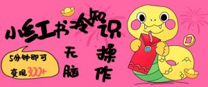 小红书冷知识账号，无脑复制粘贴，5分钟即可变现3张-副业网创
