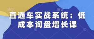 直通车实战系统：低成本询盘增长课，让个人通过技能实现升职加薪，让企业低成本获客，订单源源不断-副业网创