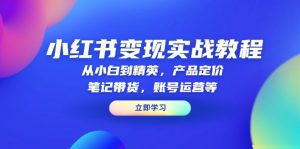 小红书变现实战教程：从小白到精英，产品定价，笔记带货，账号运营等-副业网创