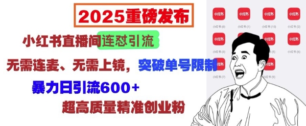 2025重磅发布：小红书直播间连怼引流，无需连麦、无需上镜，突破单号限制，暴力日引流600+-副业网创