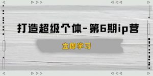 打造 超级个体-第6期ip营:商业认知,产品设计,成交演练,解决知识变现难题-副业网创