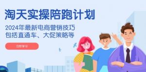 淘天实操陪跑计划，2024年最新电商营销技巧，包括直通车、大促策略等-副业网创