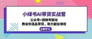 小绿书AI带货实战营:公众号+视频号联动,教会你选品带货,助力副业增收-副业网创