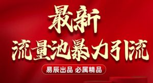 最新“流量池”无门槛暴力引流(全网首发)日引500+-副业网创