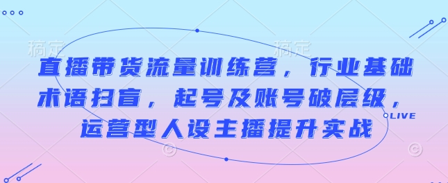 直播带货流量训练营，行业基础术语扫盲，起号及账号破层级，运营型人设主播提升实战-副业网创