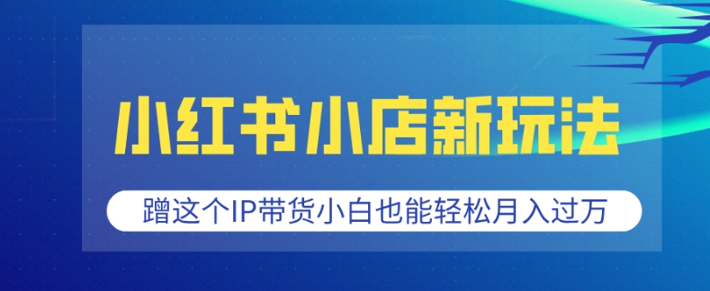 小红书小店新玩法，蹭这个IP带货，小白也能轻松月入过W【揭秘】-副业网创