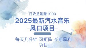 2025最新汽水音乐躺赚项目 每天几分钟 日入1000＋-副业网创