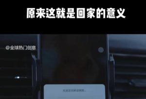 利用春节风口，制作热点视频，多种玩法类型，新手也能轻松变现！-副业网创