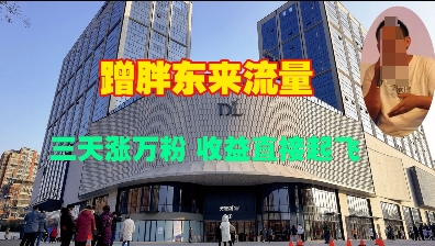 蹭胖东来流量，三天涨万粉，收益直接起飞-副业网创