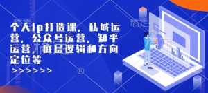 个人ip打造课，私域运营，公众号运营，知乎运营，底层逻辑和方向定位等-副业网创