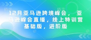 12月亚马逊跨境峰会， 亚马逊峰会直播，线上特训营基础版，进阶版-副业网创