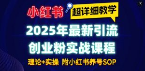 2025年最新小红书引流创业粉实战课程【超详细教学】小白轻松上手，月入1W+，附小红书养号SOP-副业网创