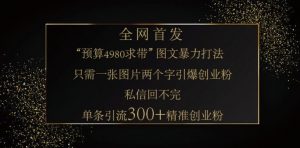小红书神奇图片引流法，只需一张图，就能单条笔记凭借此方法，轻松引流 300 + 精准创业粉-副业网创