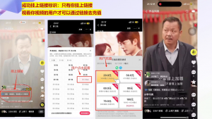 书阳老师·短剧运营变现之路-副业网创
