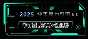 2025年快手6.0保姆级教程震撼来袭,单日狂吸300+精准创业粉-副业网创