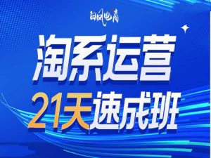 淘系运营21天速成班35期，年前最后一波和2025方向-副业网创