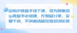 全案IP操盘手线下课,成为现象级ip操盘手必修课,无保留分享,全是干货,不讲废话超深度培训实操-副业网创