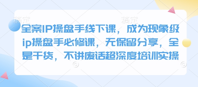 全案IP操盘手线下课，成为现象级ip操盘手必修课，无保留分享，全是干货，不讲废话超深度培训实操-副业网创